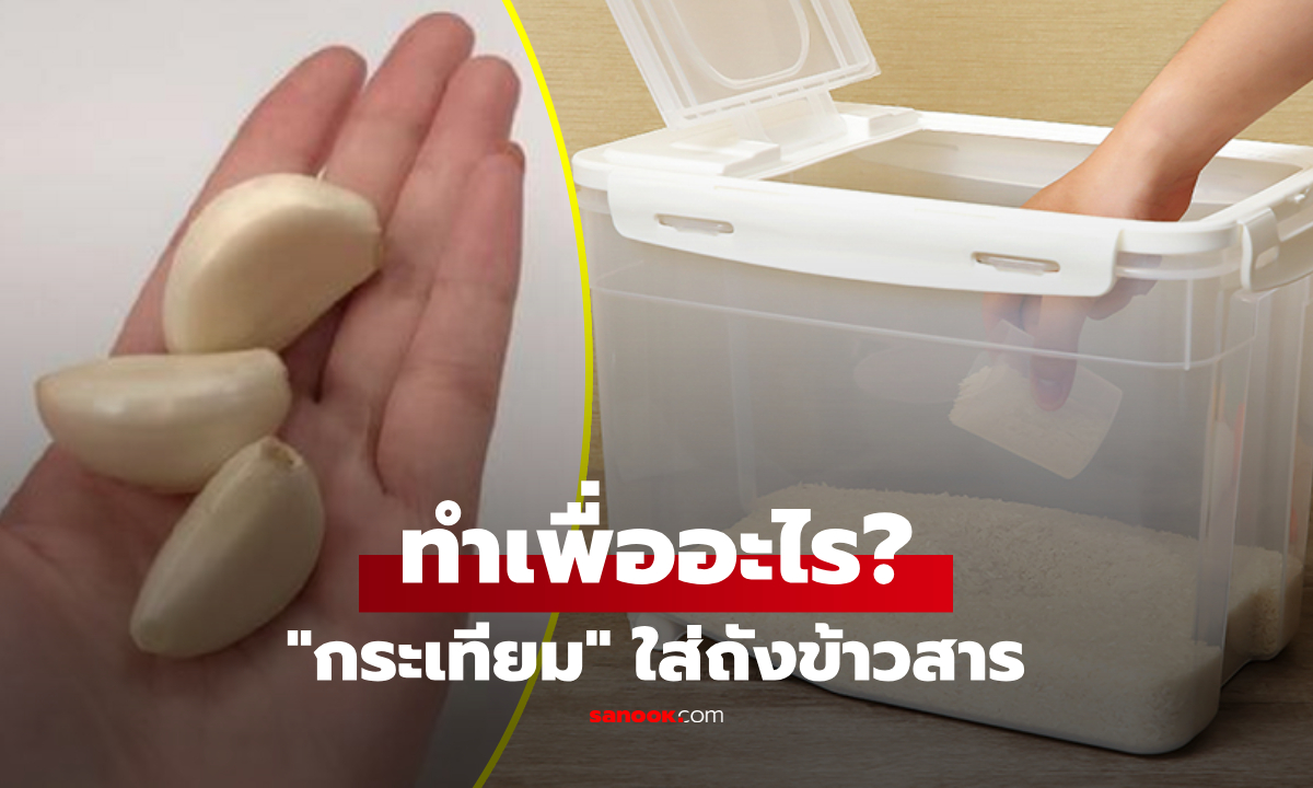 การใส่ "กระเทียม" ลงในถังข้าวสาร มีประโยชน์อะไร? เฉลยแล้วทำไมหลายบ้านชอบทำ!
