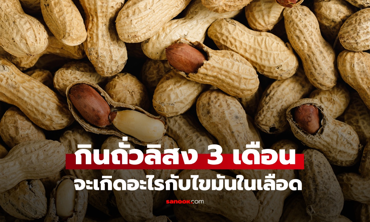 กินถั่วลิสงต่อเนื่อง 3 เดือน จะเกิดอะไรกับไขมันในเลือด ผลลัพธ์อาจไม่เป็นอย่างที่คิด
