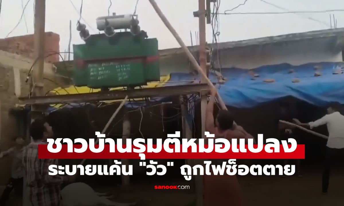 วัวถูกไฟช็อตตาย ชาวอินเดียเดือด! รุมทุบ "หม้อแปลงไฟฟ้า" ระบายแค้น (มีคลิป)