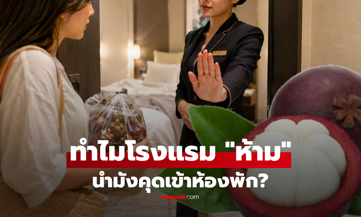 ทำไมบางโรงแรม "ห้ามเอามังคุดเข้าห้อง" ไม่ใช่แค่ทุเรียน และเหตุผลไม่ใช่กลิ่นอย่างที่คิด!