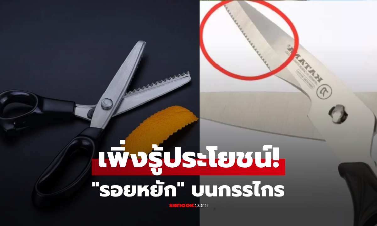 "รอยหยัก" บนกรรไกร ตรงใบมีดและด้าม มีหน้าที่ต่างกันอย่างไร? ประโยชน์มากกว่าที่คิด!