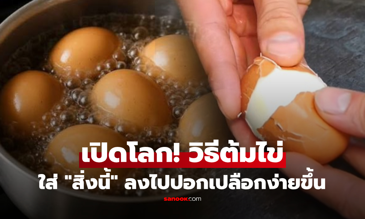 ไม่ใช่เกลือ! เผยวิธีต้มไข่ให้ปอกเปลือกง่าย แค่ใส่สิ่งนี้ลงไป ปอกมาเนียนสวย