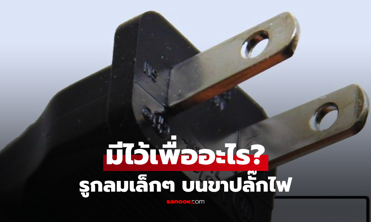รูกลมเล็กๆ บนขาปลั๊กไฟ มีไว้เพื่ออะไร? เฉลยแล้ว รู้ไว้อาจเซฟชีวิตได้!