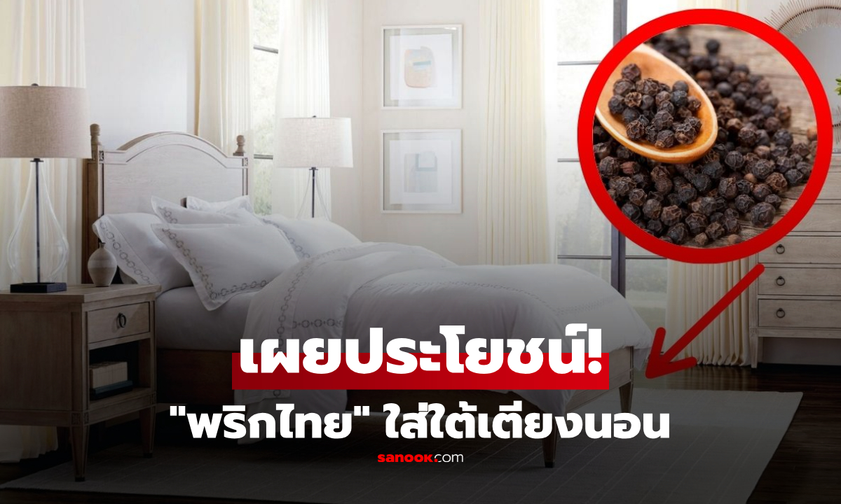 "พริกไทย" วางใต้เตียงนอน ช่วยเรื่องอะไร? เปิดประโยชน์ลับ แก้ปัญหาที่หลายบ้านเจอ!