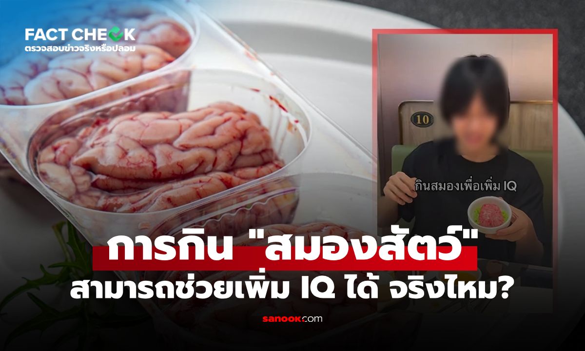 กิน "สมองสัตว์" ช่วยเพิ่มระดับสติปัญญา หรือ IQ ได้ จริงหรือไม่? : เช็กข่าวชัวร์
