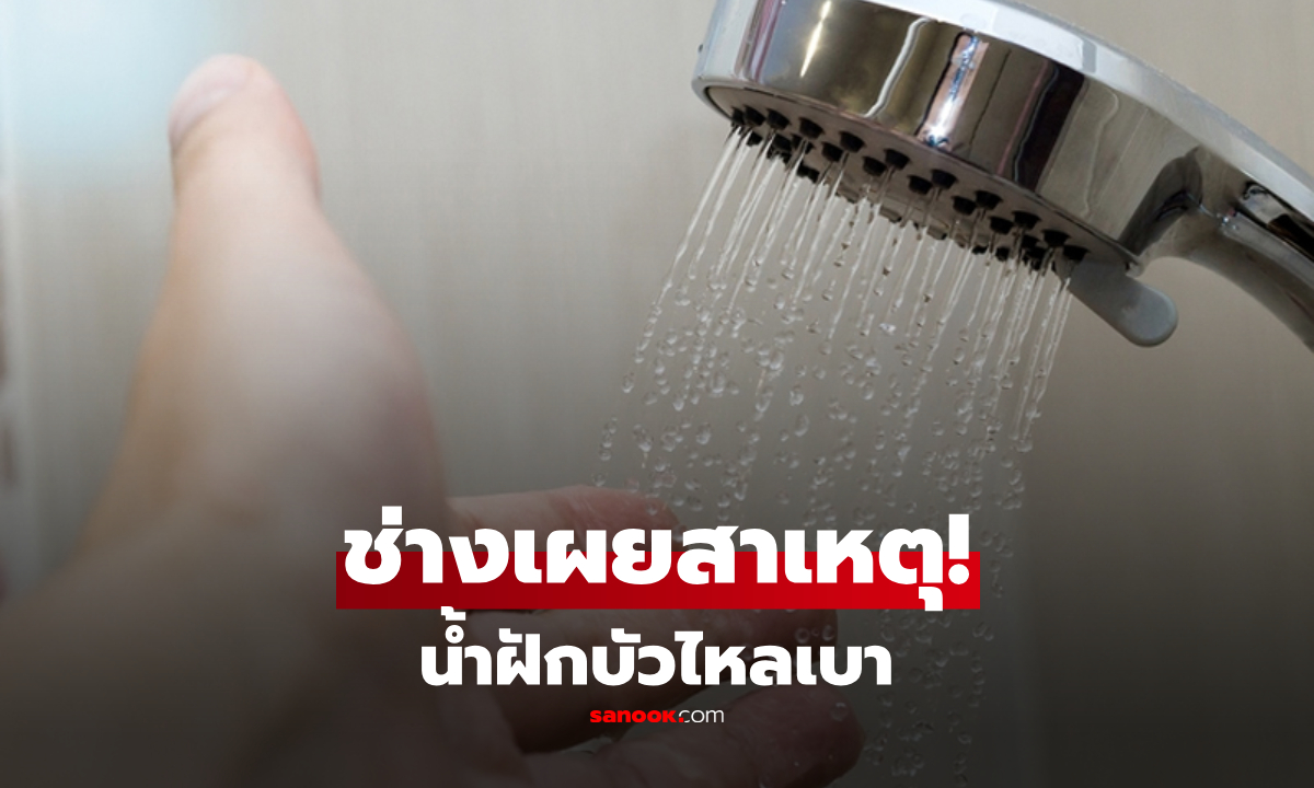 เปิดฝักบัวสุดแล้ว แต่น้ำยังไหลเบา? ช่างเผยสาเหตุใกล้ตัวที่หลายบ้านมองข้าม!