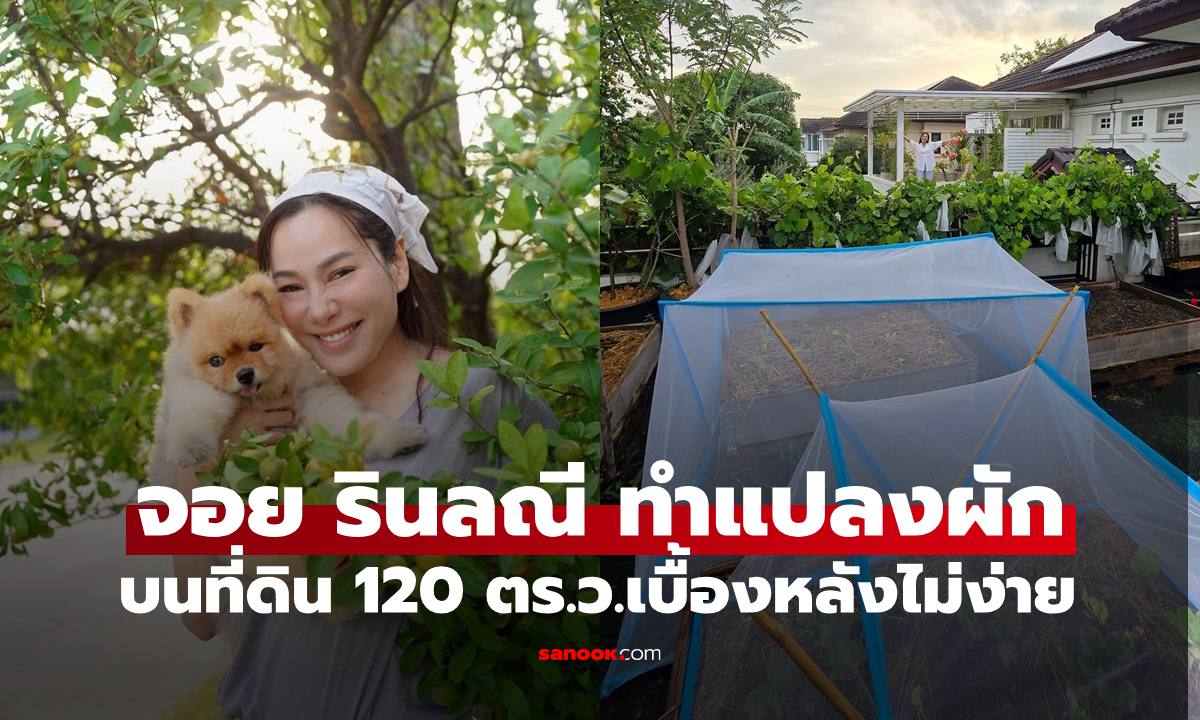 "จอย รินลณี" เนรมิตรอบบ้านบนที่ดิน 120 ตารางวาทำแปลงผัก เบื้องหลังไม่ง่ายเลย