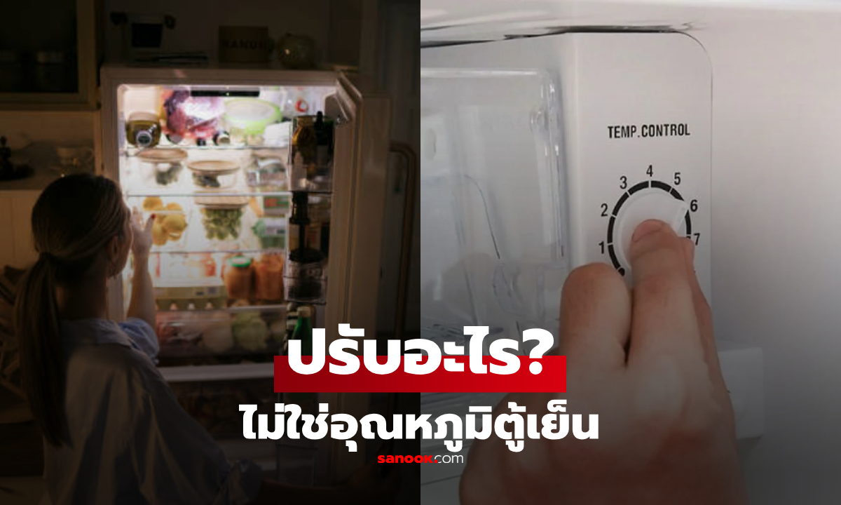 เพิ่งรู้เลย! ความหมายที่แท้จริงของ "ตัวเลขบนปุ่มหมุนตู้เย็น" ไม่ใช่องศาเซลเซียสอย่างที่คิด
