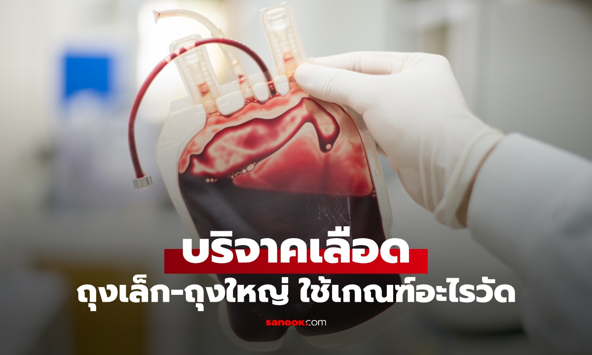 บริจาคเลือดมี ถุงเล็ก-ถุงใหญ่ ใช้เกณฑ์อะไรวัด? ถ้าเลือดไม่เต็มถุงอาจต้องทิ้งหมด