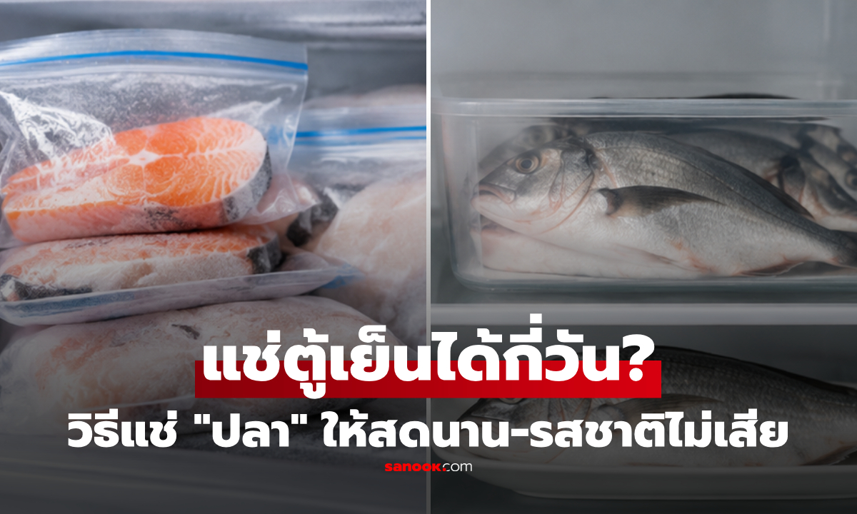 "ปลา" เก็บในตู้เย็นได้กี่วัน? วิธีแช่ให้สดนาน ถนอมให้รสชาติไม่เสีย!