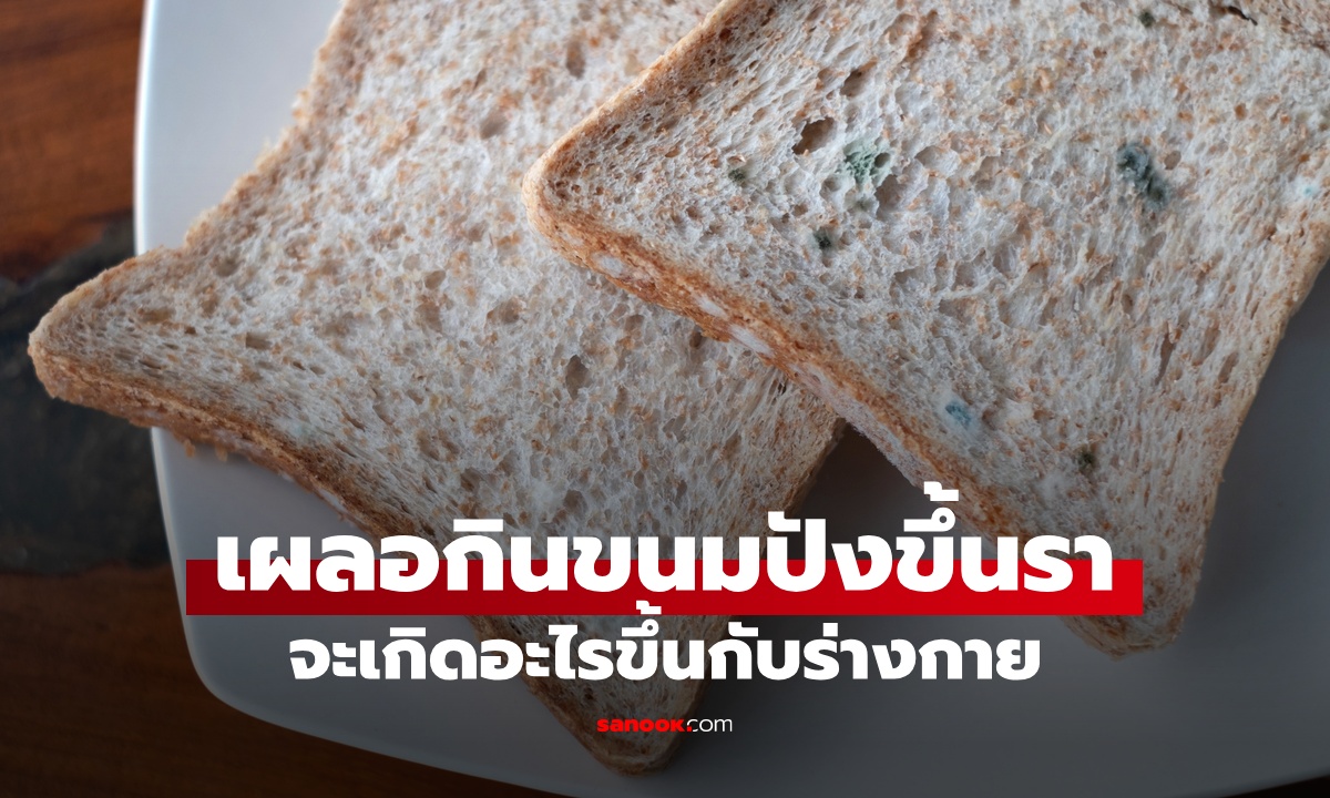 ขนมปังหมดอายุ กินต่อได้ไหม? เผลอกินขนมปังขึ้นรา จะเกิดอะไรขึ้นกับร่างกาย