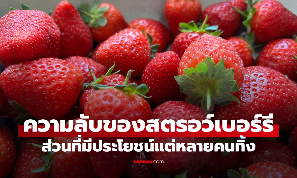 ความลับของ "สตรอว์เบอร์รี" ส่วนนี้ที่หลายคนทิ้ง อุดมสารอาหารไม่แพ้เนื้อผลไม้