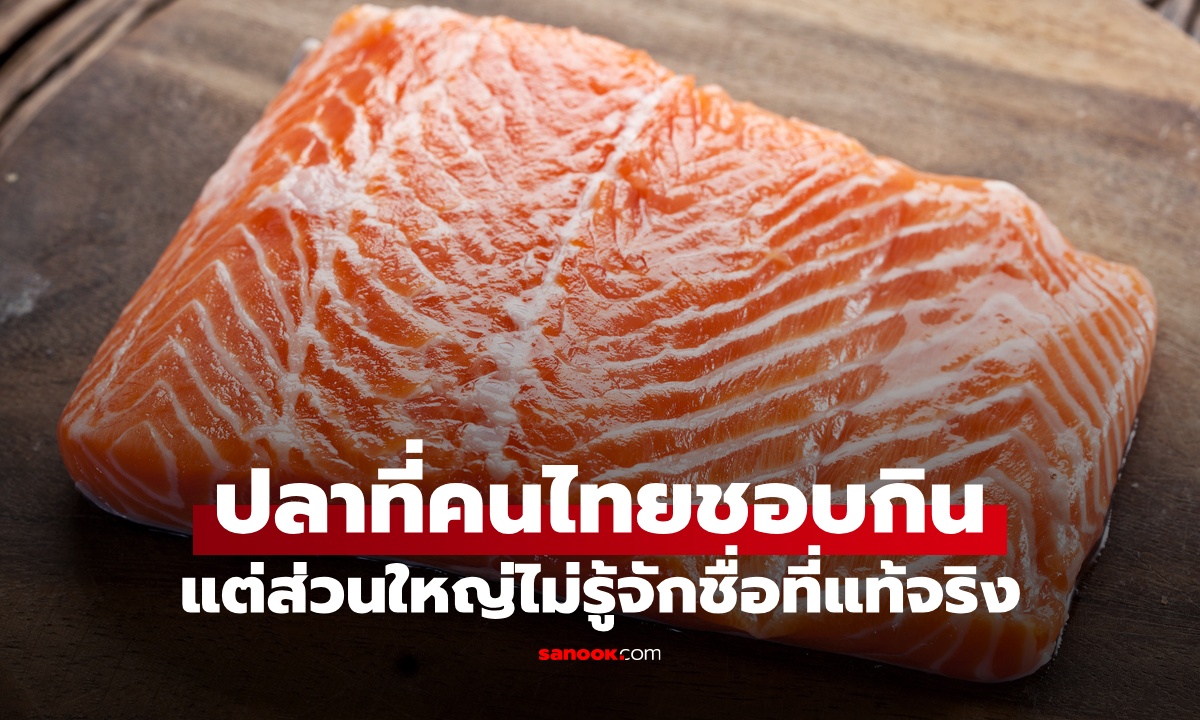 ปลา 1 ชนิด คนไทยชอบกินแต่ไม่รู้จักชื่อ แหล่งโปรตีน-โอเมก้า 3 ประโยชน์ไม่แพ้แซลมอน