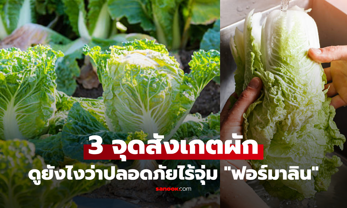 หมอแชร์ 3 วิธีจับผิด "ผักกาดขาว" ปนเปื้อนสารเคมี หลังคลิปแฉแช่ "ฟอร์มาลิน" ขนส่งจากจีน