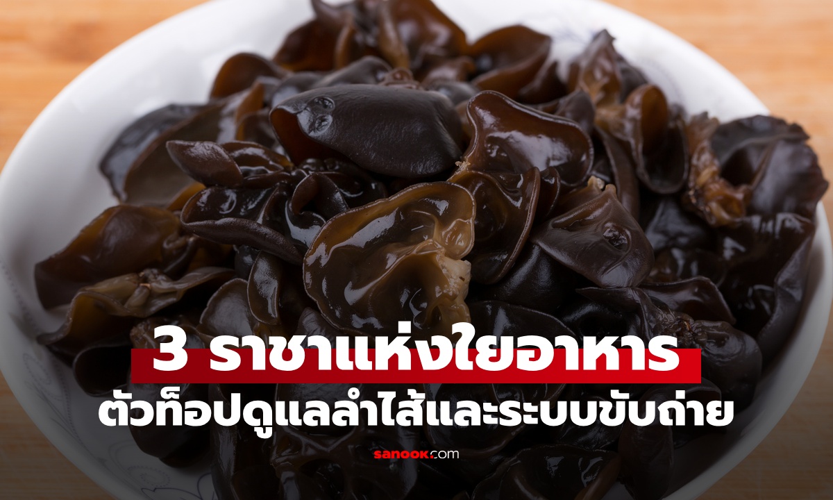 3 ราชาแห่งใยอาหาร ตัวท็อปดูแลลำไส้ ขับถ่ายคล่อง สุขภาพดีจากธรรมชาติ