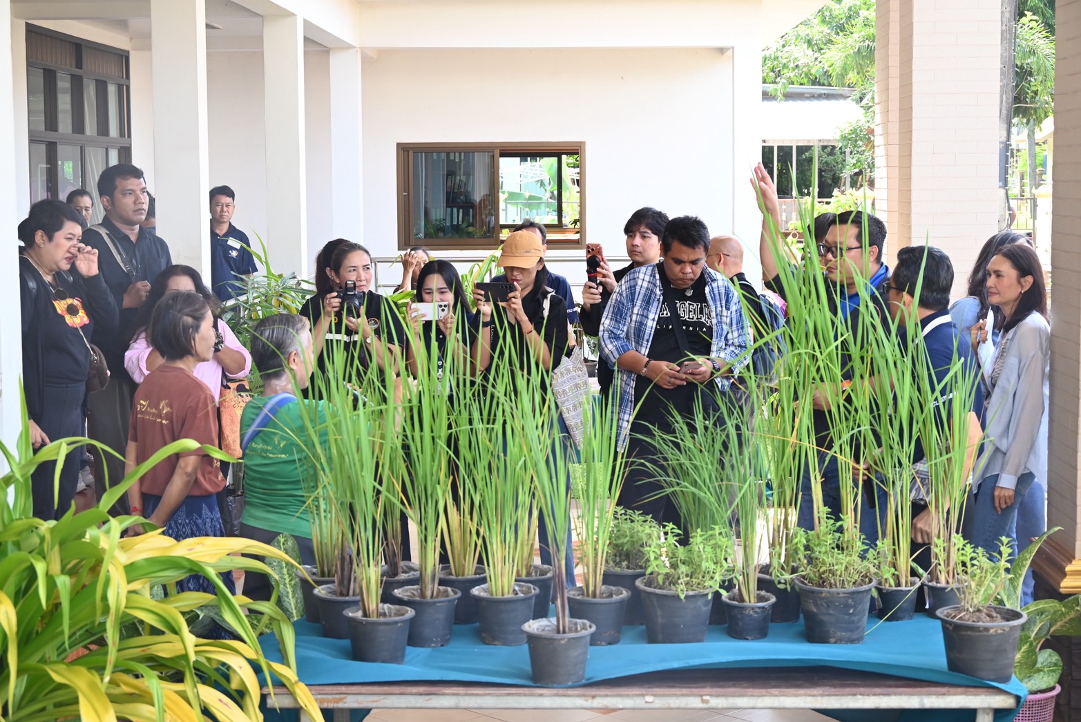 คณะผู้บริหารกรมส่งเสริมสหกรณ์ลงพื้นที่เยี่ยมชมสหกรณ์