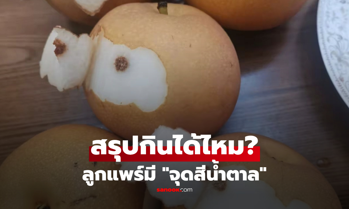 ผ่าลูกแพร์เจอ "จุดสีน้ำตาล" ยังกินได้ไหม? ผู้เชี่ยวชาญอธิบายภาวะ "เนื้อไม้ก๊อก"