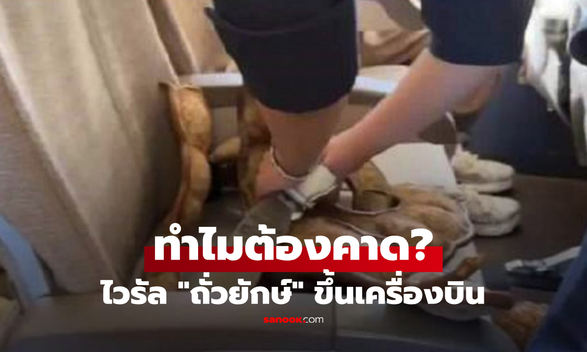 ไวรัล "ถั่วยักษ์" ขึ้นเครื่องบิน แอร์ฯ คาดเข็มขัดให้ ที่แท้มีเหตุผลด้านความปลอดภัย!