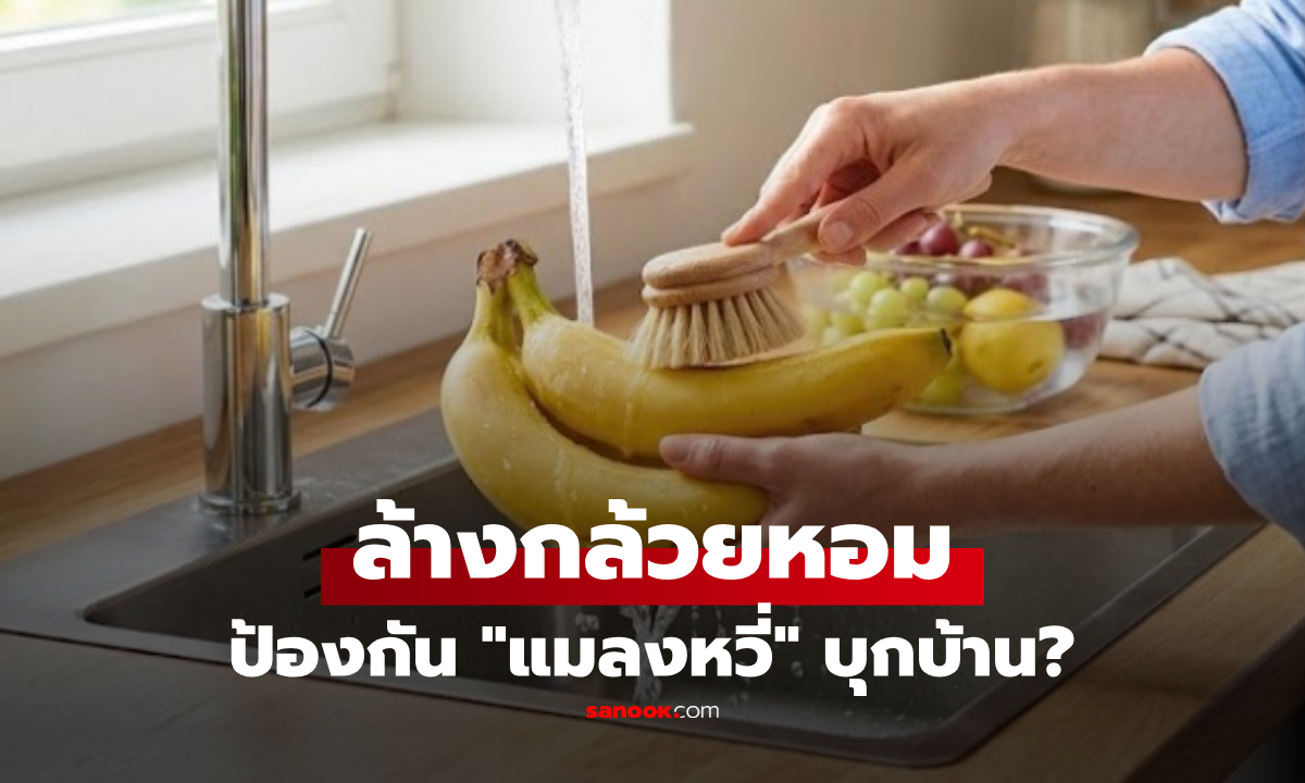 ล้างกล้วยหอมหลังซื้อ ช่วยป้องกัน "แมลงหวี่" บุกบ้านได้? นักกีฏวิทยามาเฉลยเอง!