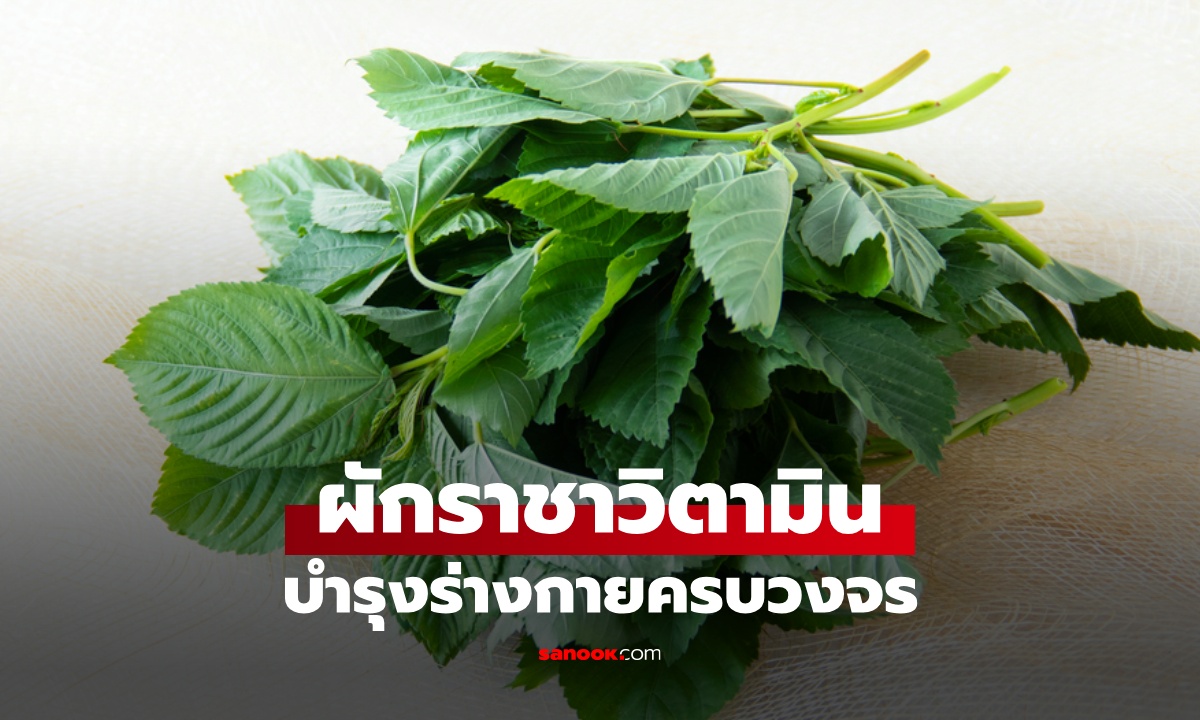 ผักที่ได้ฉายา "ราชาวิตามิน" บำรุงร่างกายครบวงจร สมัยก่อนมีแต่ชนชั้นสูงได้กิน