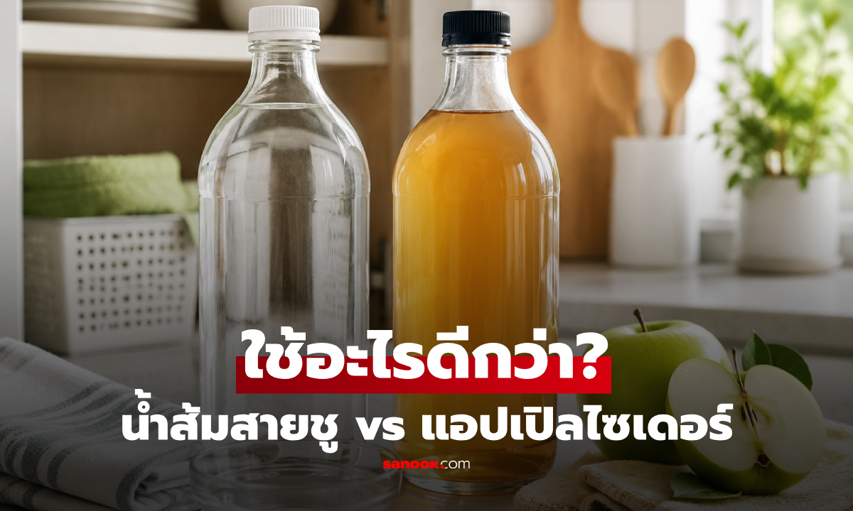 น้ำส้มสายชู vs แอปเปิลไซเดอร์ ใช้อะไรกลิ่นอับได้ดีกว่ากัน? กูรูเฉลยแล้ว!