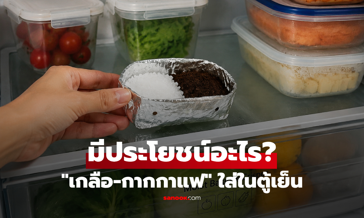 การใส่ "เกลือ-กากกาแฟ" ในตู้เย็น เปิดอีกทีเปลี่ยนไปอย่างไร? กูรูเฉลยประโยชน์สุดว้าว!