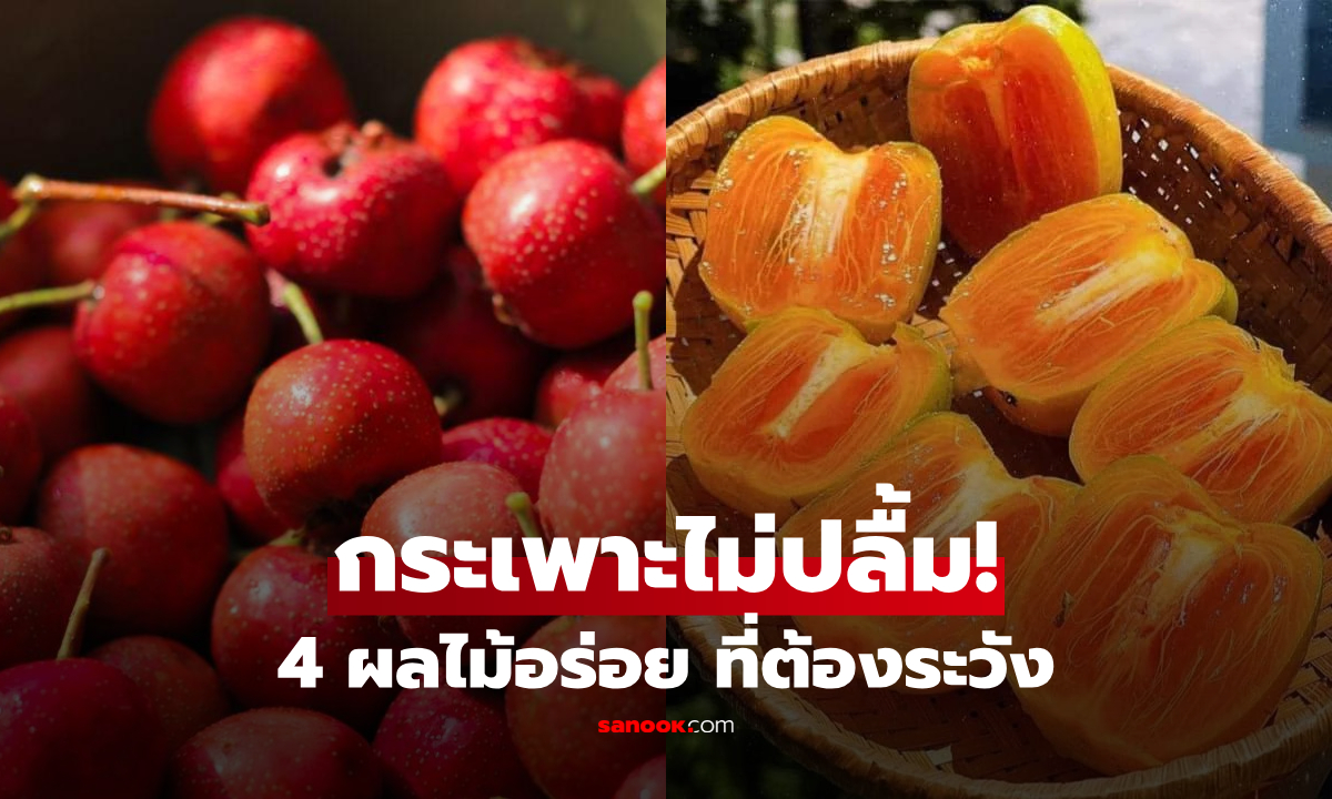 4 ผลไม้ยอดฮิต กินไปอาจ "พังกระเพาะ" ไม่รู้ตัว คนท้องไส้อ่อนต้องระวัง!