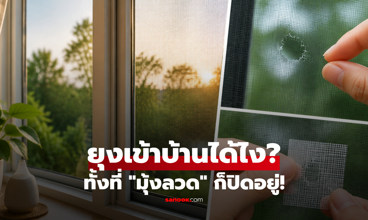 เปิดหน้าต่างรับลมยังไงไม่ให้ยุงเข้า? เผย 5 เทคนิคดูแล "มุ้งลวด" กั้นแมลงบุกบ้าน