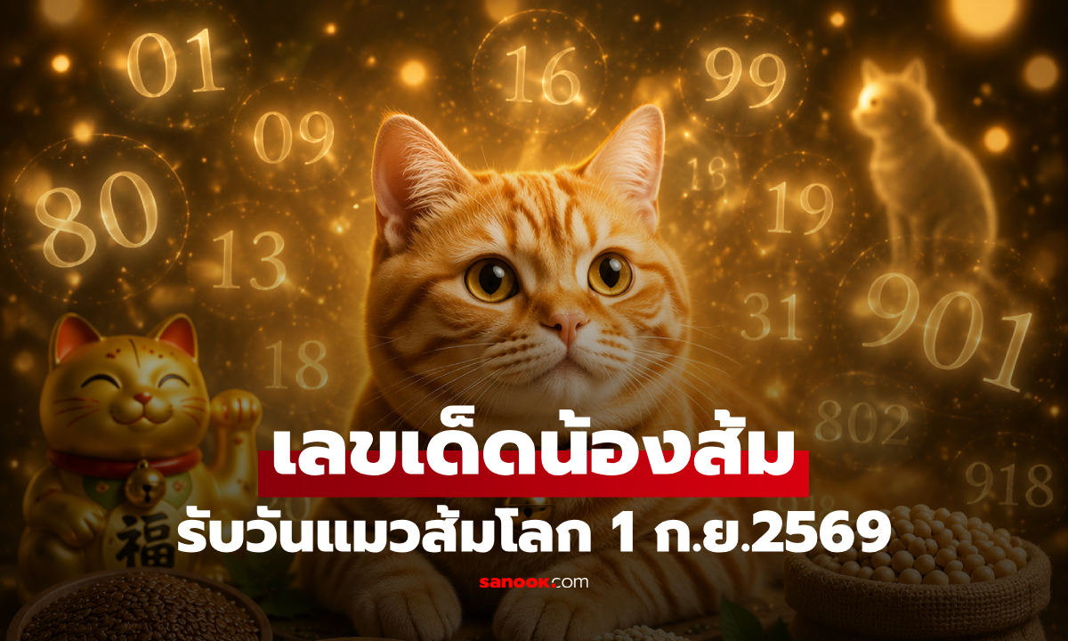 1 ก.ย. วันแมวส้มโลก! ส่อง AI คำนวณเลขเด็ดน้องส้ม เผยเลข 2 ตัว 3 ตัวน่าลุ้น