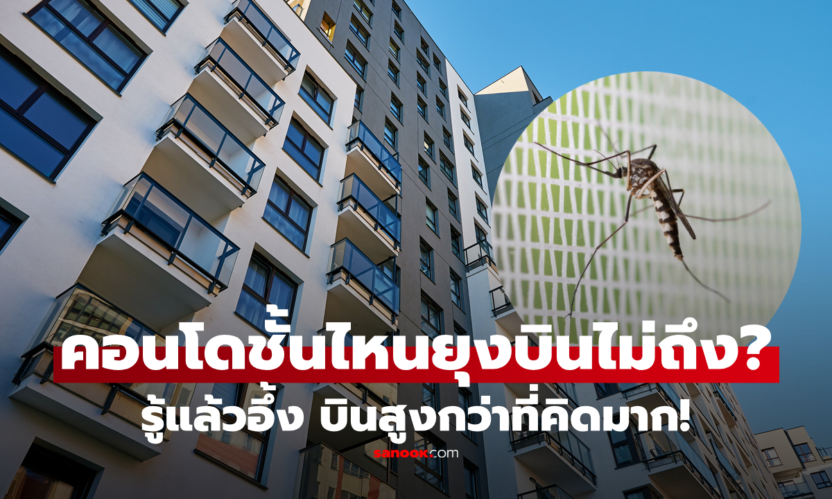 ภาพคอนโดชั้นไหนถึงไม่มียุง? ไขคำตอบยุงบินได้สูงแค่ไหน รู้แล้วอึ้ง เกินจากที่หลายคนคิด!