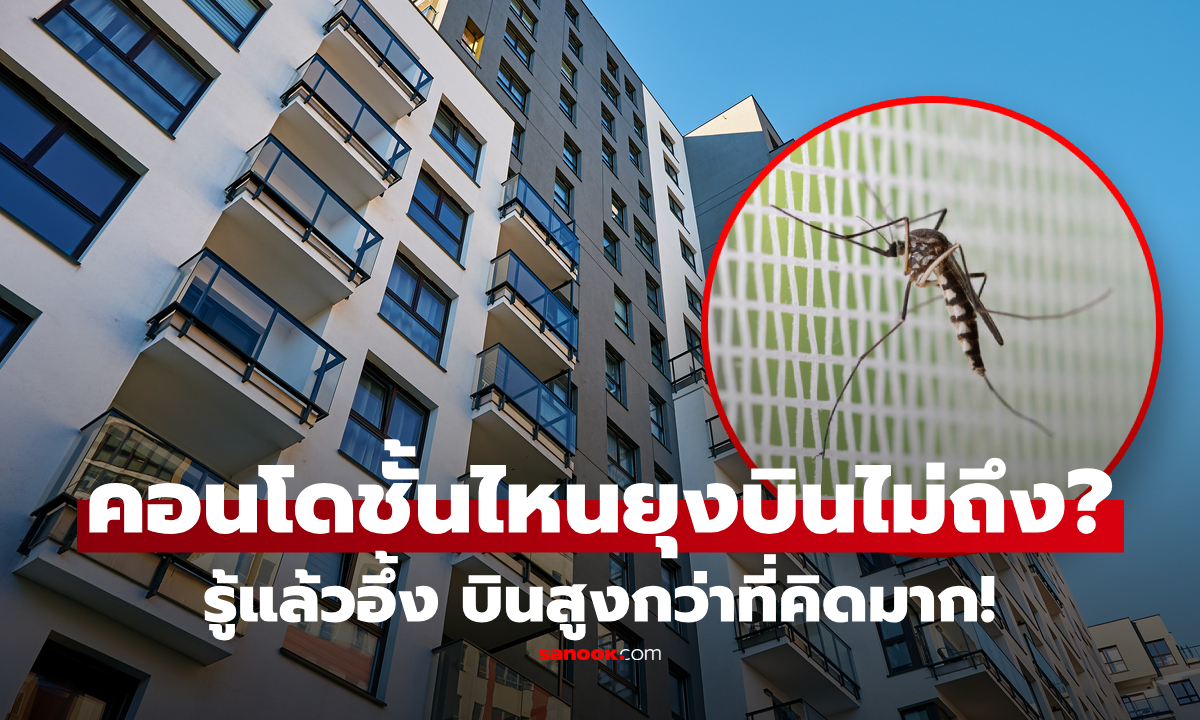 คอนโดชั้นไหนถึงไม่มียุง? ไขคำตอบยุงบินได้สูงแค่ไหน รู้แล้วอึ้ง เกินจากที่หลายคนคิด!