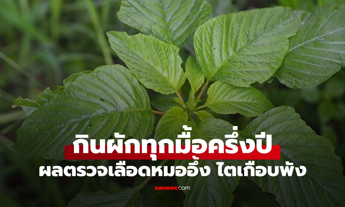 สาวรักสุขภาพ กินผัก 1 ชนิดทุกมื้อนานครึ่งปี ผลตรวจเลือดหมอแทบกุมขมับ