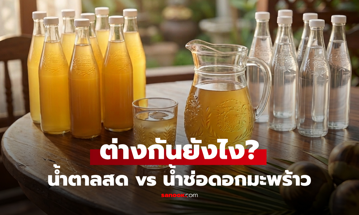น้ำตาลสด กับ น้ำช่อดอกมะพร้าว ต่างกันยังไง? อ่านจบเลือกใช้ถูกทันที