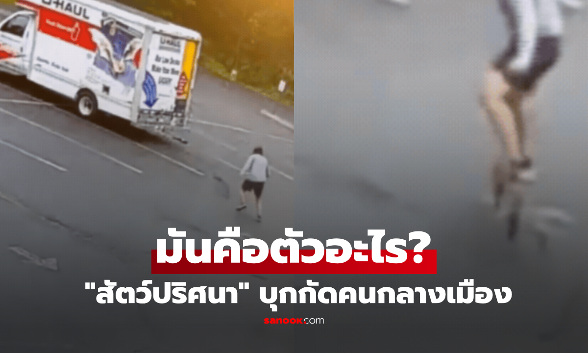 ตัวอะไร? "สัตว์ปริศนา" บุกกัดคนกลางสหรัฐฯ ตร.ระดมโดรนค้นหา แต่ยังไร้ร่องรอย