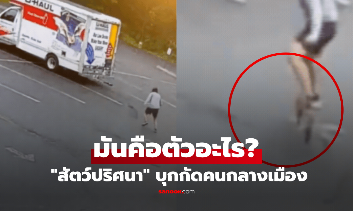 ตัวอะไร? "สัตว์ปริศนา" บุกกัดคนกลางสหรัฐฯ ตร.ระดมโดรนค้นหา แต่ยังไร้ร่องรอย
