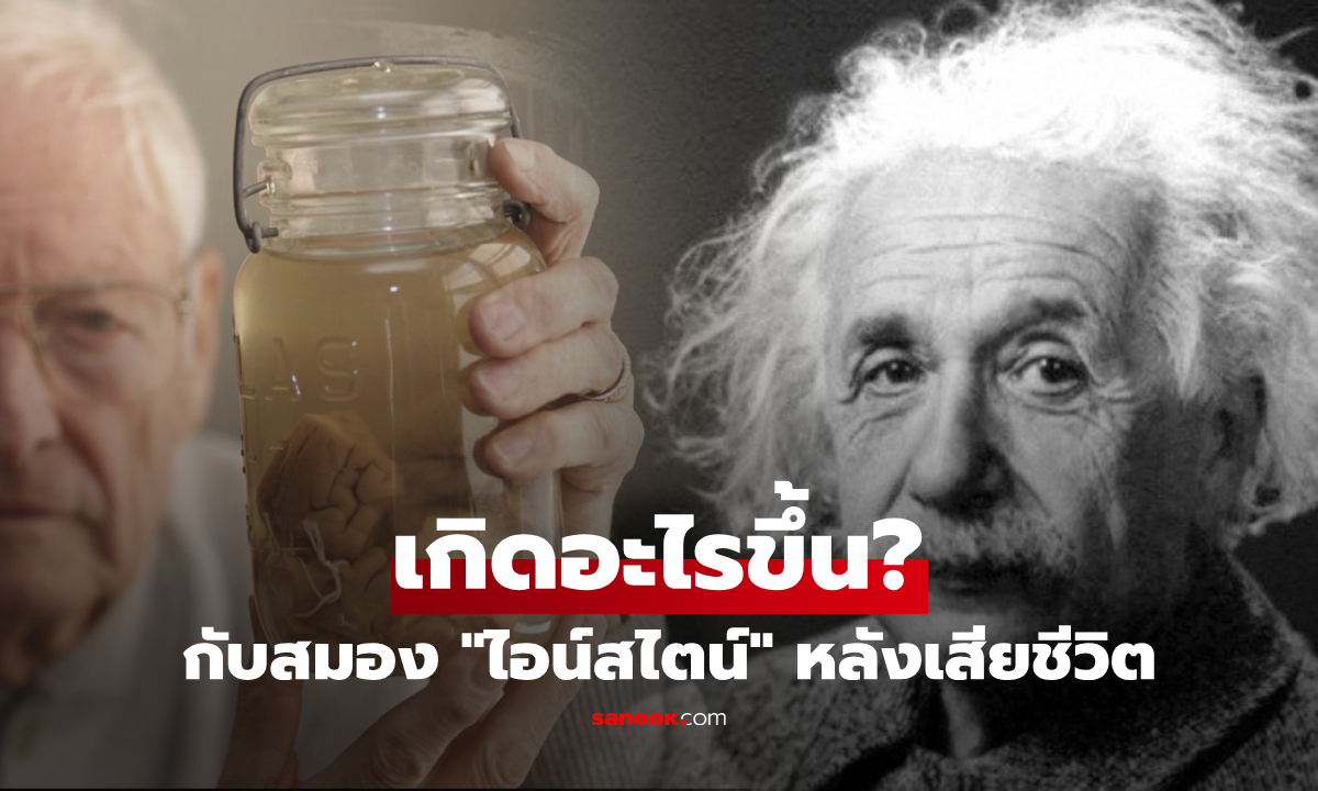 เกิดอะไรขึ้นกับสมอง "ไอน์สไตน์" หลังอัจฉริยะเสียชีวิต และถูกแบ่งเป็น 240 ชิ้น?!
