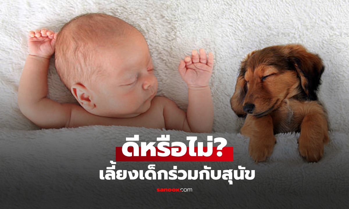 "สุนัข" เลี้ยงร่วมบ้านกับ "เด็กทารก" ดีจริงไหม? นักวิทยาศาสตร์เผยผลวิจัย!