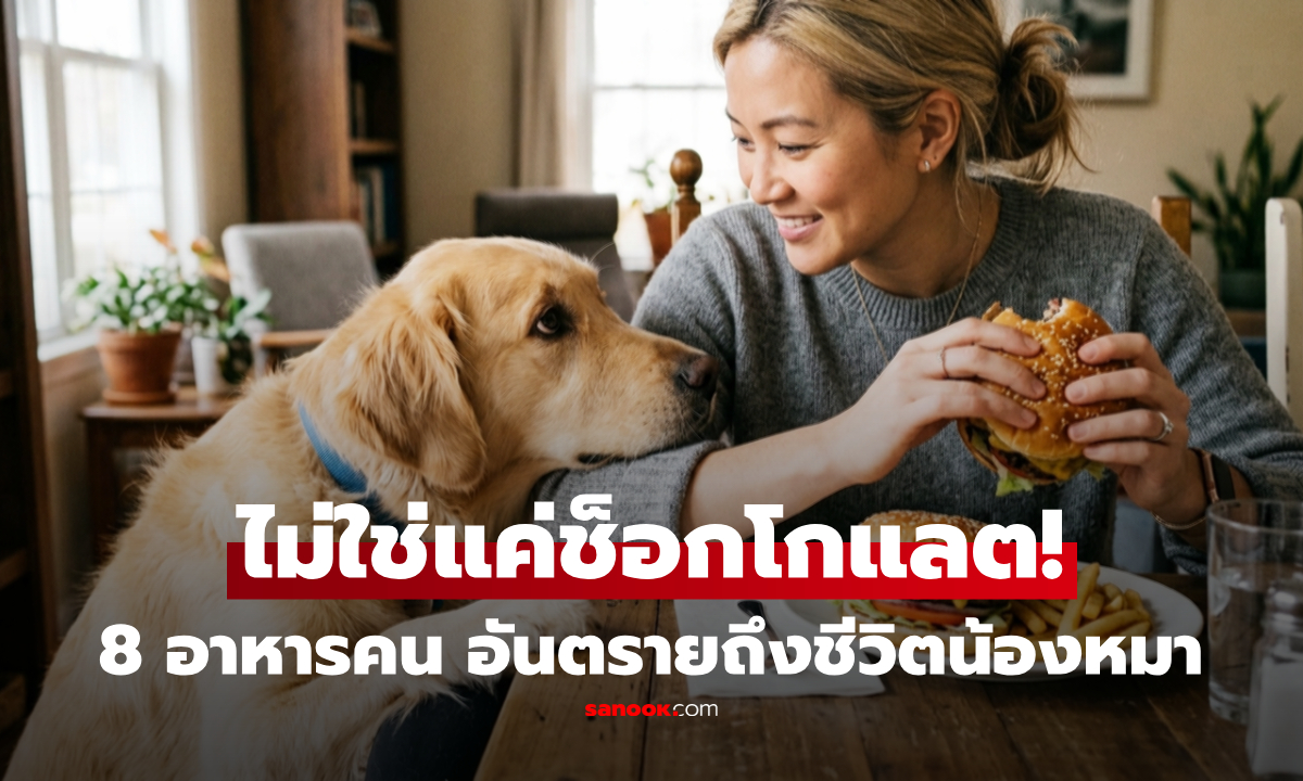 อย่าป้อนมั่ว! 8 อาหารคนที่ "สุนัขห้ามกิน" บางอย่างแค่นิดเดียวอันตรายถึงชีวิต