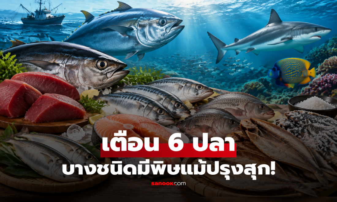 เตือน 6 ปลา ชอบแค่ไหนก็ควร "กินให้น้อยลง" บางชนิดยังมีสารพิษแม้ปรุงสุก!