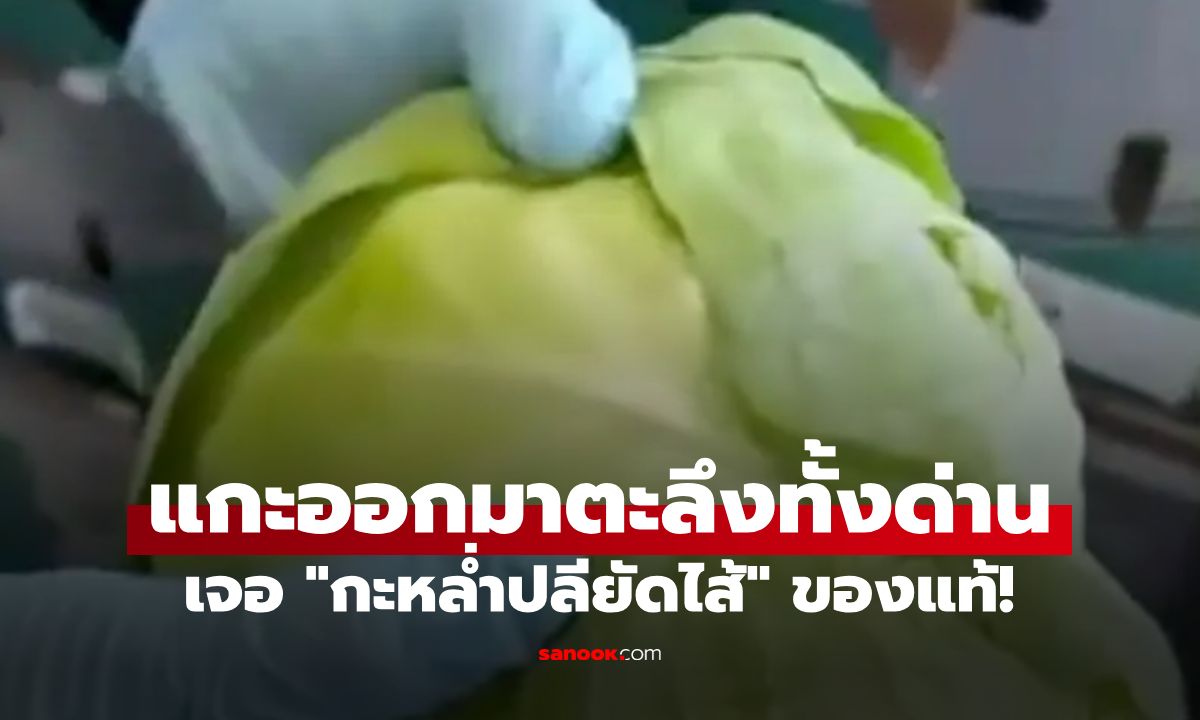 ตะลึงทั้งด่าน! "กะหล่ำปลี" นำเข้าจากเม็กซิโก พบสิ่งนี้ยัดไส้ หนักกว่า 900 กิโลฯ