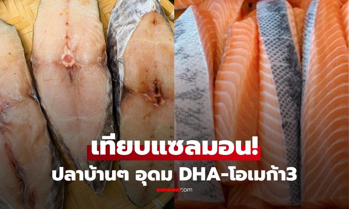ไม่ง้อแซลมอน! แนะนำ "ปลาราคาบ้านๆ" แต่อุดม DHA และโอเมก้า-3 รู้แล้วต้องลอง