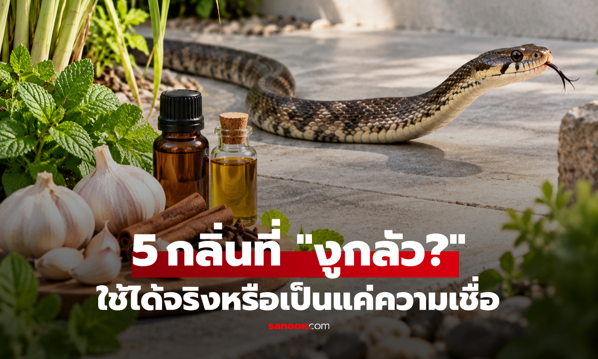 งูกลัวกลิ่นอะไร? เปิดความจริง "5 กลิ่นไล่งู" ใช้ได้จริงหรือเป็นแค่ความเชื่อ!