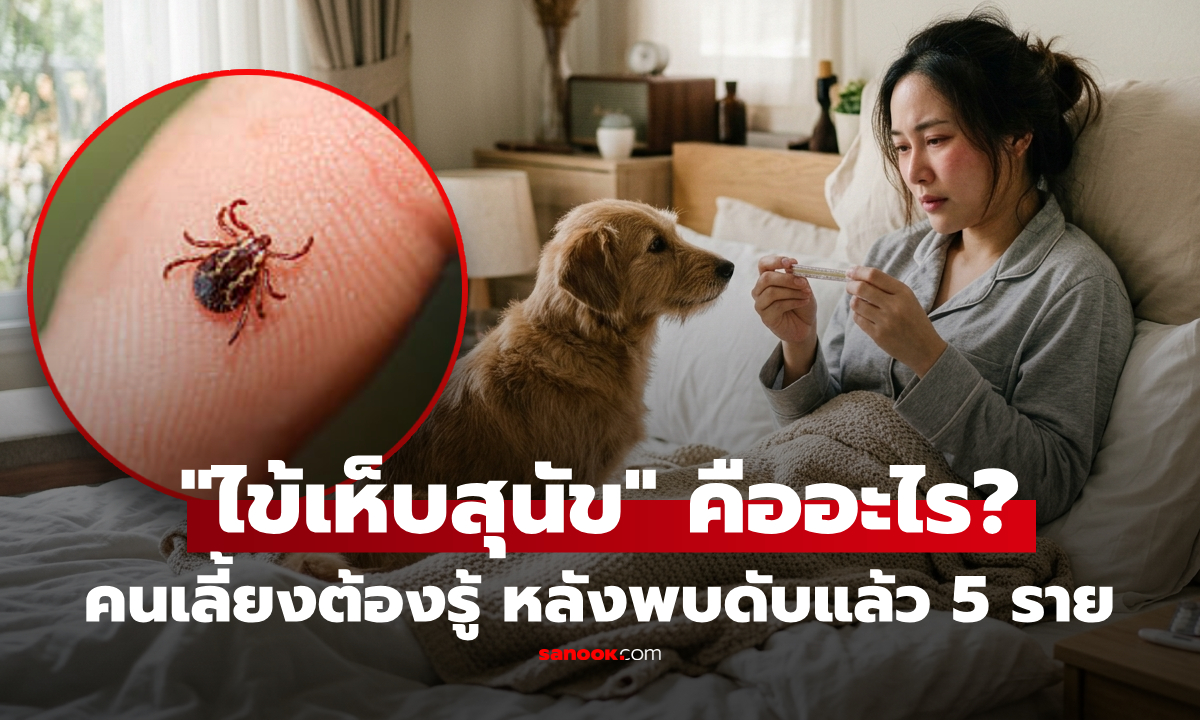 "ไข้เห็บสุนัข" คืออะไร? คนเลี้ยงหมาต้องรู้ อาการ-วิธีป้องกัน หลังพบป่วยแล้ว 53 ราย ดับ 5 ราย