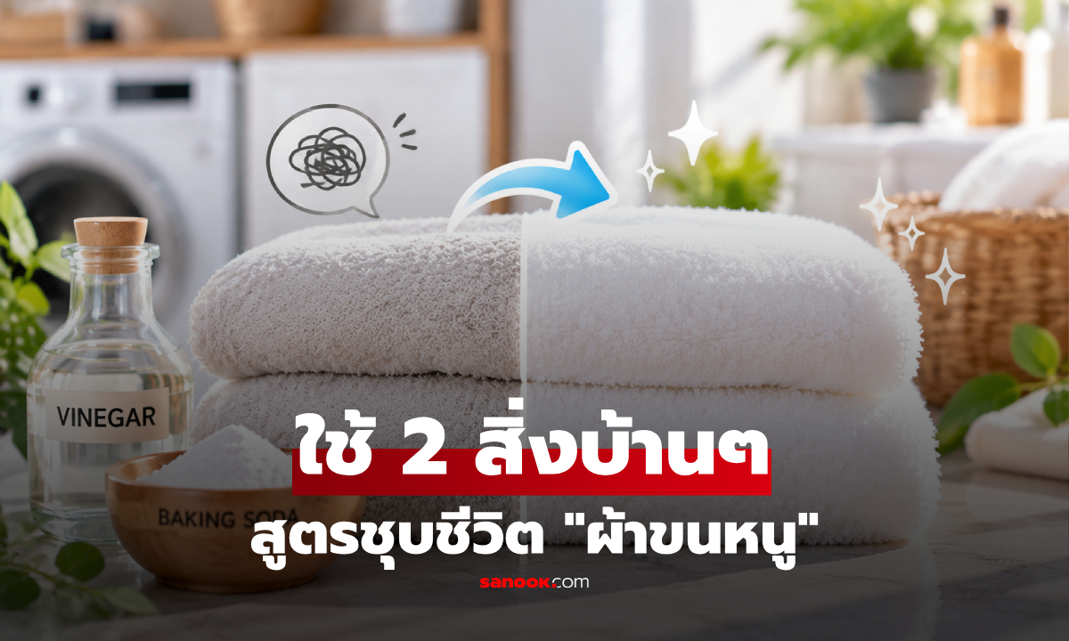 ไวรัลสูตรเด็ด! ใช้แค่ 2 วัตถุดิบบ้านๆ "ชุบชีวิต" ให้ผ้าขนหนูสากๆ กลับมานุ่มฟู