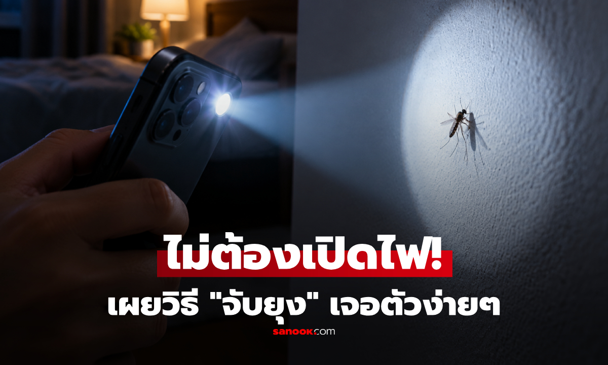 อย่าเสียเวลาเปิดไฟ! เผยวิธีใช้ไฟฉายมือถือ "จับยุง" เห็นตัวง่ายๆ ชัดในจุดเดียว