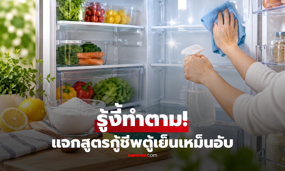 กู้ชีพตู้เย็นเหม็นอับ! แจกสูตรขจัดกลิ่นคาว-คราบฝังลึก สะอาดปลอดภัยไร้สารเคมี