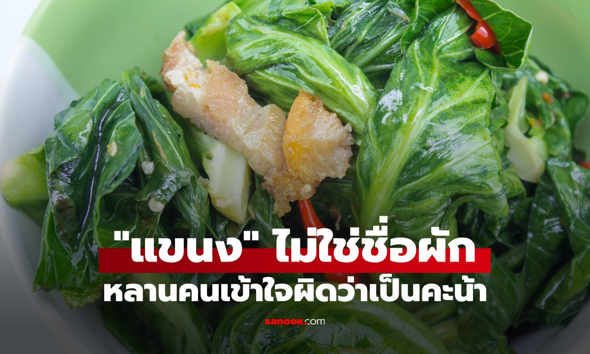 เปิดความจริง "แขนง" ไม่ใช่ชื่อผัก หน่อพืชประโยชน์เพียบ คนเข้าใจผิดว่าเป็นคะน้า