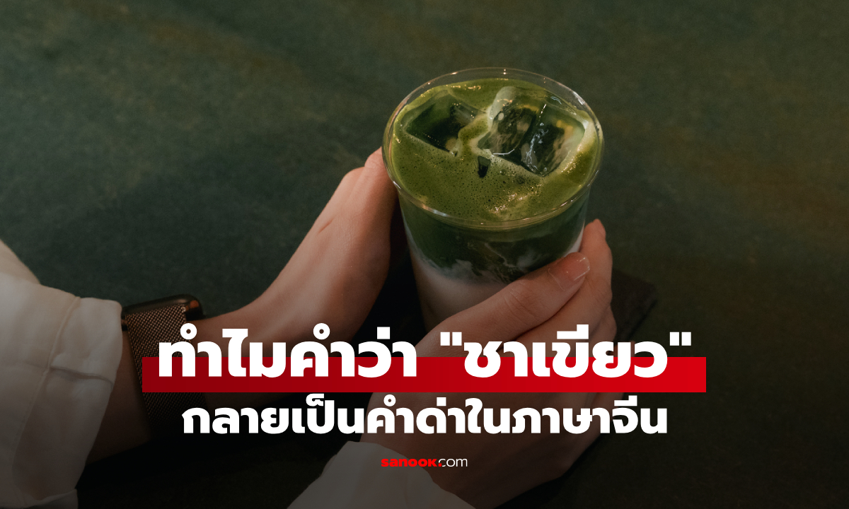 ทำไมคำว่า "ชาเขียว" ถึงกลายเป็นคำด่าในภาษาจีน? ย้อนที่มาศัพท์สแลงยอดฮิต