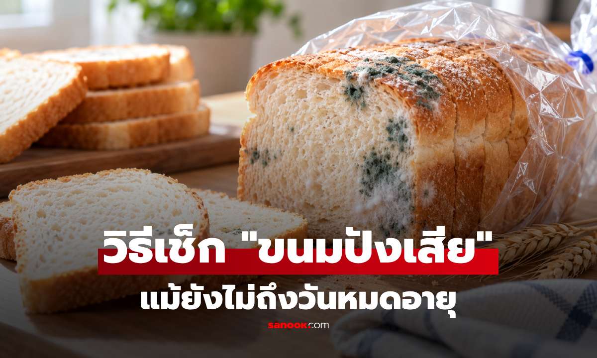 วิธีเช็ก "ขนมปังเสีย" แม้ยังไม่ถึงวันหมดอายุ! ทำไมห้ามเฉือนส่วนที่เป็นราทิ้ง?
