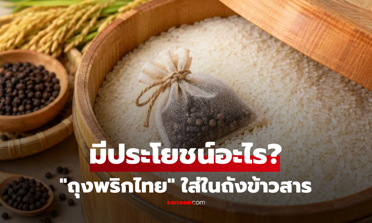 "ถุงพริกไทย" ใส่ในถังข้าวสาร มีประโยชน์อะไร? เฉลยเคล็ดลับง่ายๆ ที่หลายบ้านทำกัน!